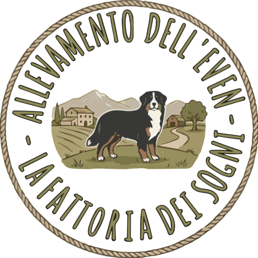 Logo Allevamento dell'Even Cermenate Como