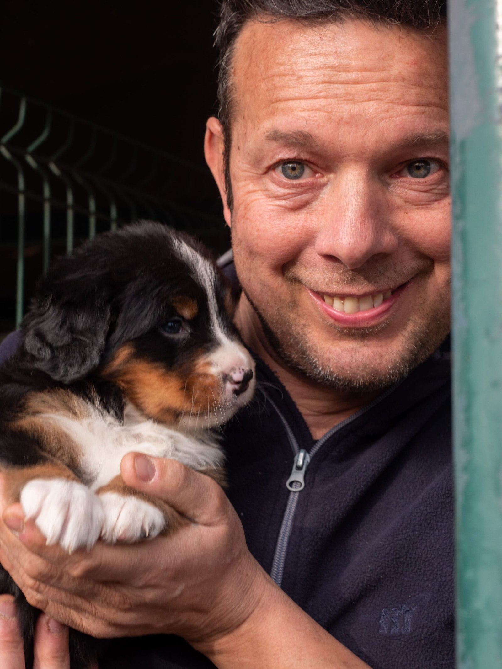 Cucciolo di Bovaro del Bernese
